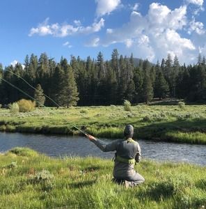 Meet your Posher, Rich